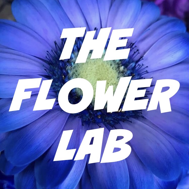 The Flower Lab