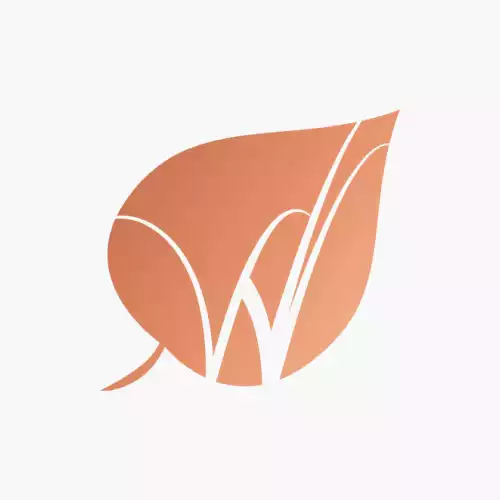 Birch & Wilde